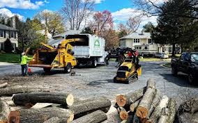 Best Leaf Removal  in New Whiteland, IN